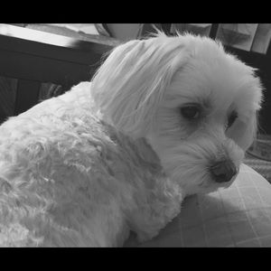 Meet your Posher, Lorraine